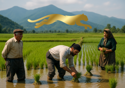 Golden Leopard Gold Fertilizer Materials Magnesium sulfate mono/hepta